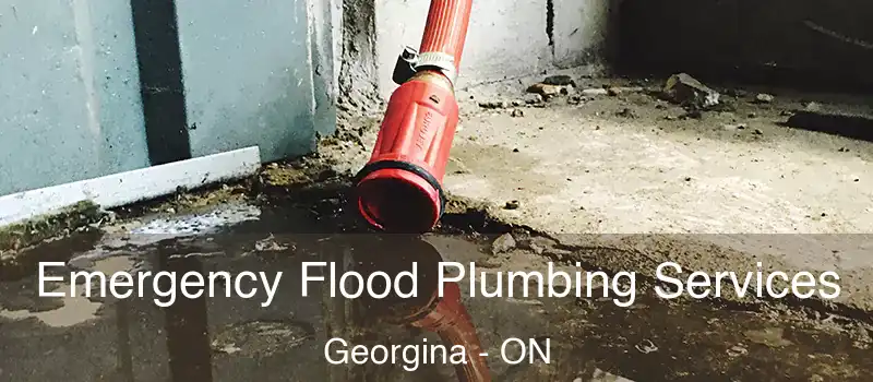 Emergency Flood Plumbing Services Georgina - ON